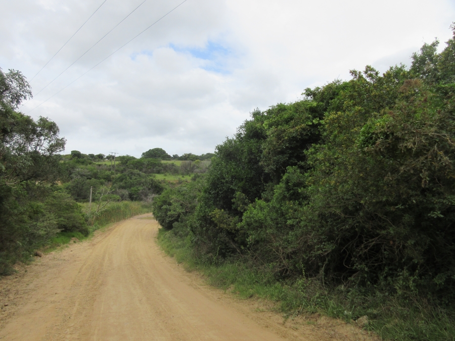 0 Bedroom Property for Sale in Bathurst Eastern Cape